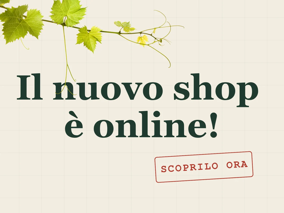 Nuovo shop online - Wine&More
