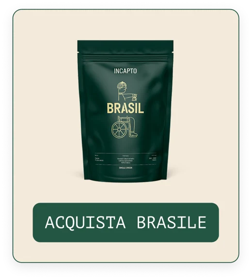 Acquista caffè in grani Brasile