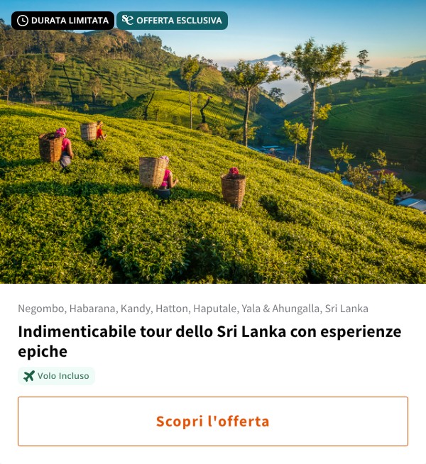 Indimenticabile tour dello Sri Lanka con esperienze epiche