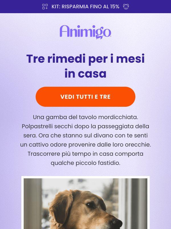 Gamba del tavolo mordicchiata?