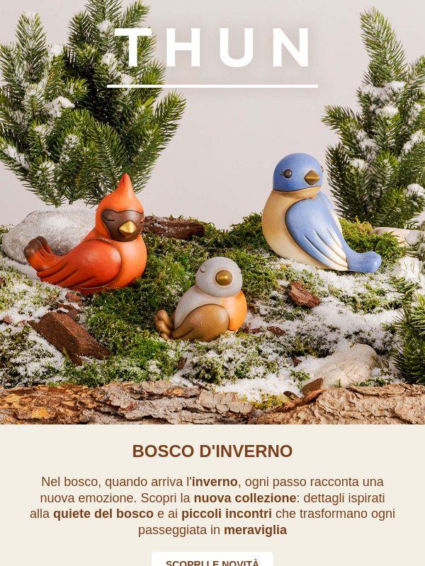 Il bosco si fa meraviglia ✨