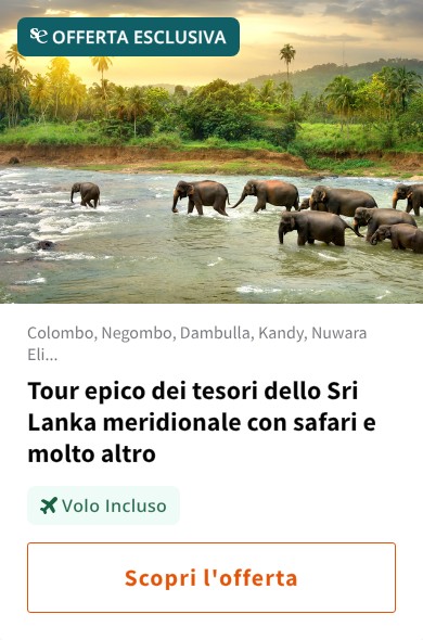Tour epico dei tesori dello Sri Lanka meridionale con safari e molto altro