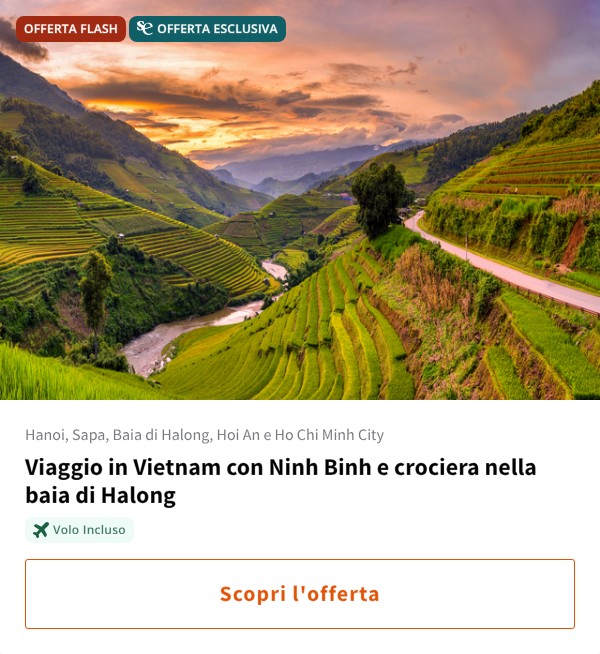 Viaggio in Vietnam con Ninh Binh e crociera nella baia di Halong