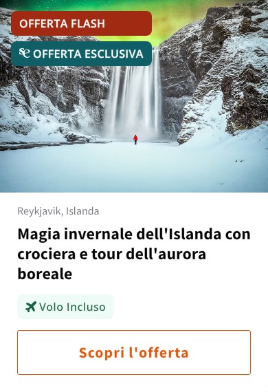 Magia invernale dell'Islanda con crociera e tour dell'aurora boreale