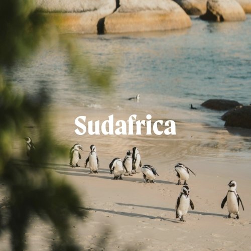 Sudafrica
