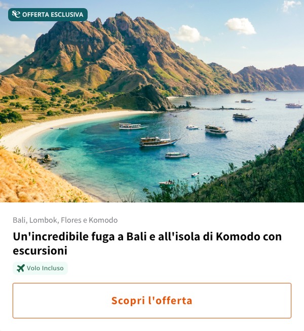 Un'incredibile fuga a Bali e all'isola di Komodo con escursioni