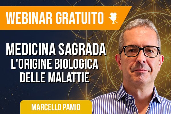 Webinar