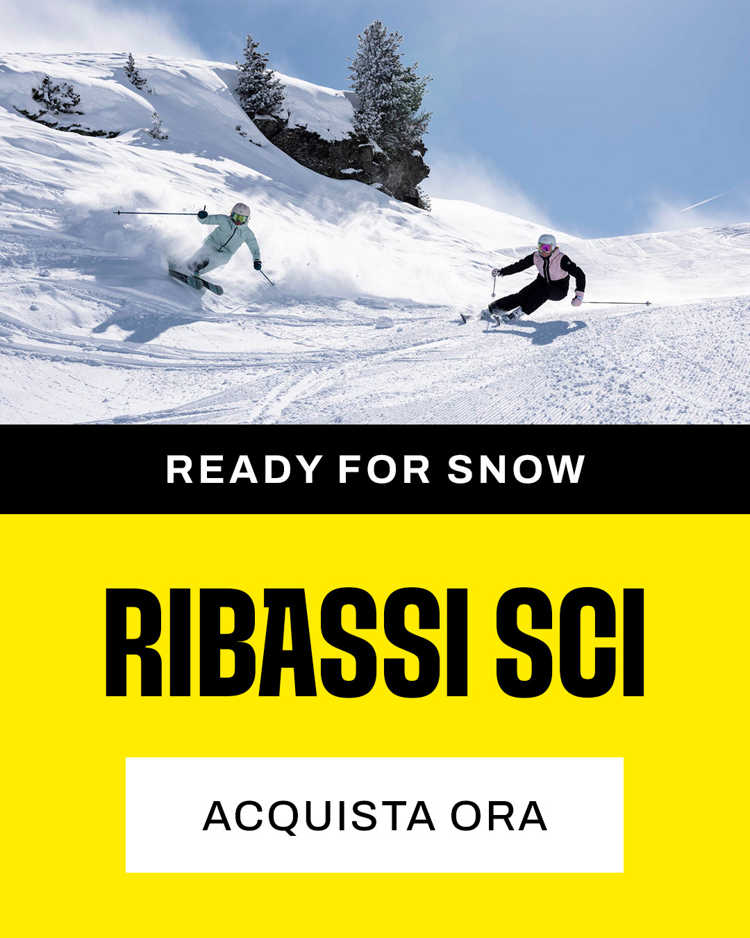 Ribassi sci