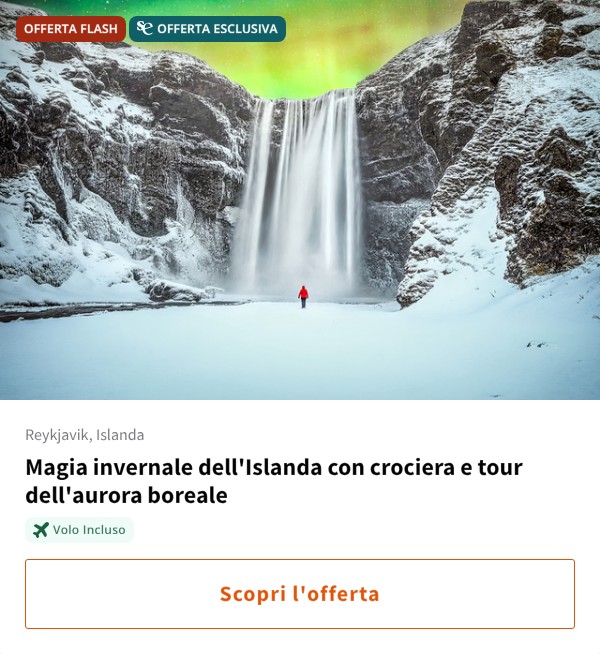 Magia invernale dell'Islanda con crociera e tour dell'aurora boreale