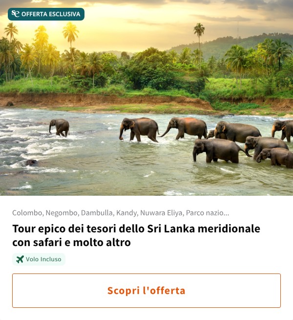 Tour epico dei tesori dello Sri Lanka meridionale con safari e molto altro