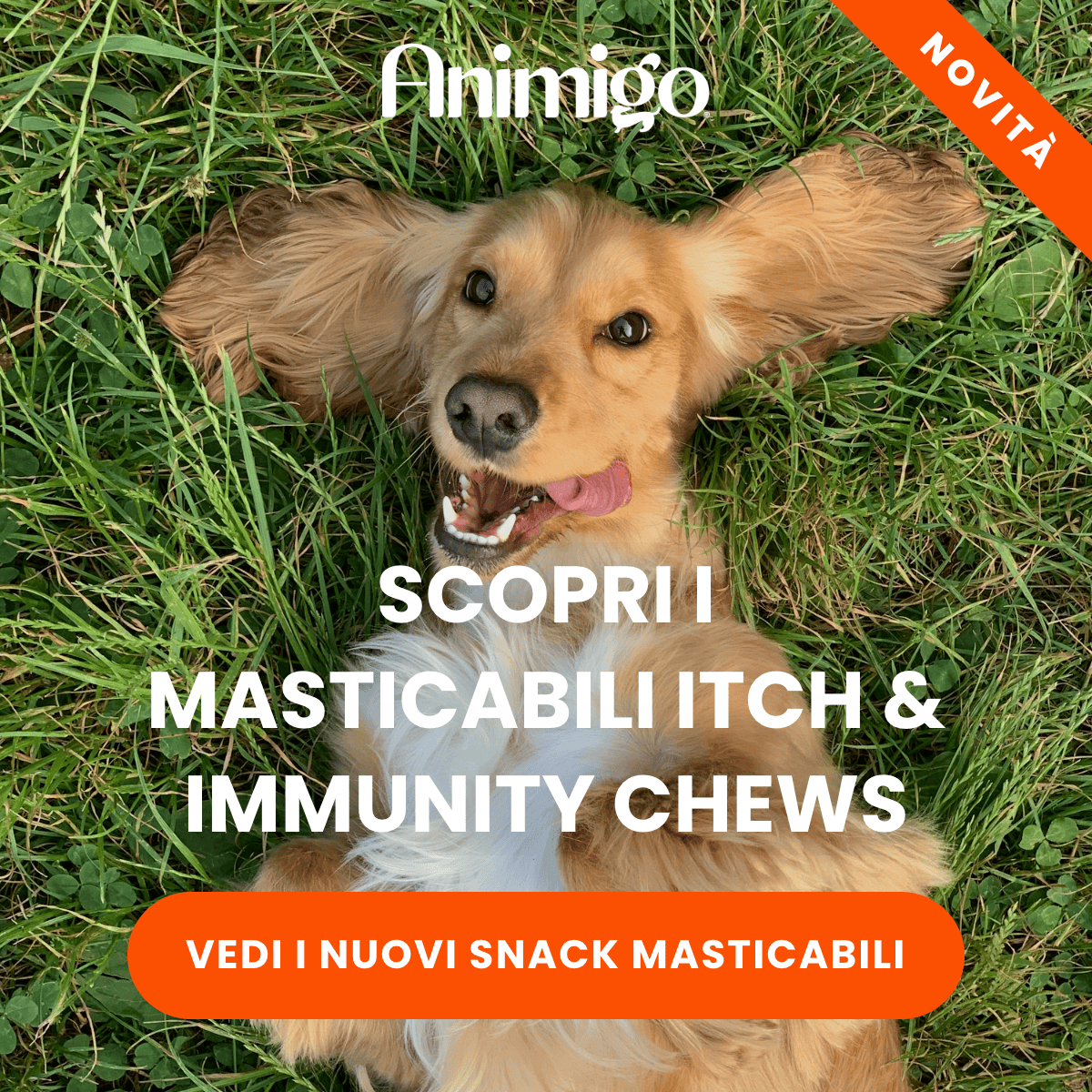 SCOPRI I MASTICABILI ITCH & IMMUNITY CHEWS · VEDI I NUOVI SNACK MASTICABILI