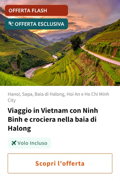 Viaggio in Vietnam con Ninh Binh e crociera nella baia di Halong