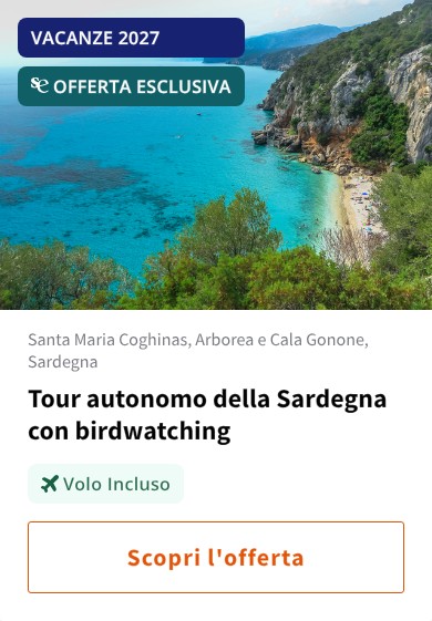 Tour autonomo della Sardegna con birdwatching