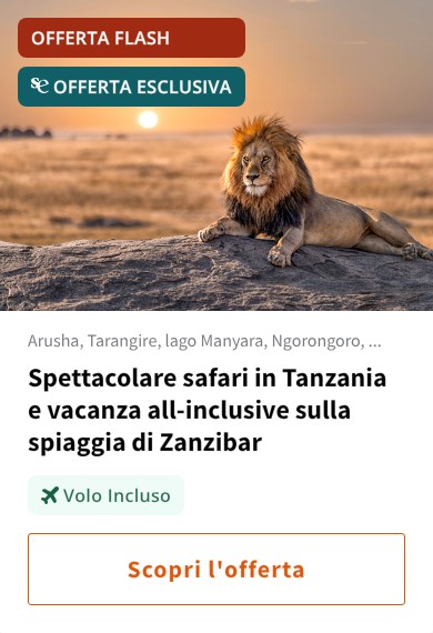 Spettacolare safari in Tanzania e vacanza all-inclusive sulla spiaggia di Zanzibar