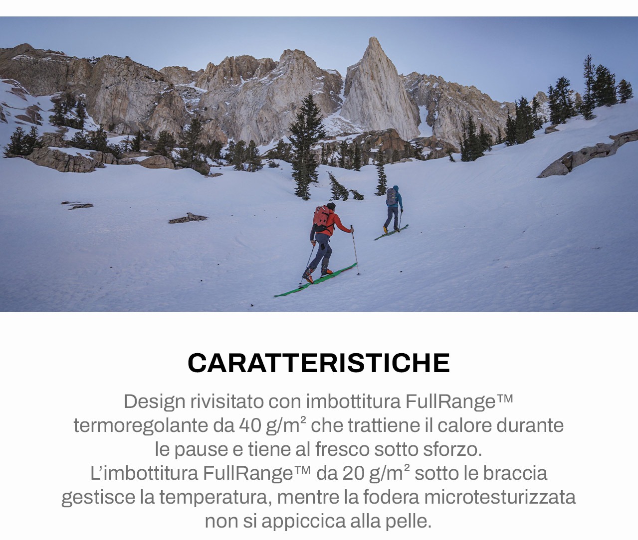 Caratteristiche