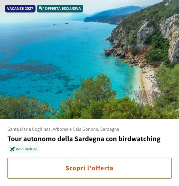 Tour autonomo della Sardegna con birdwatching