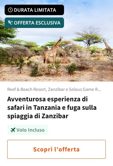 Avventurosa esperienza di safari in Tanzania e fuga sulla spiaggia di Zanzibar
