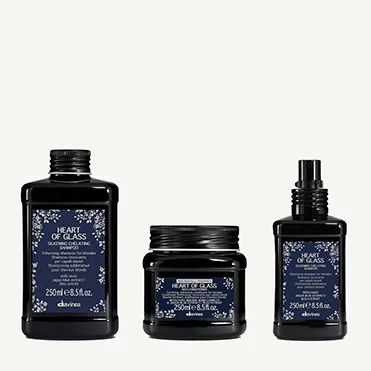 Kit Biondo Perfetto | Davines