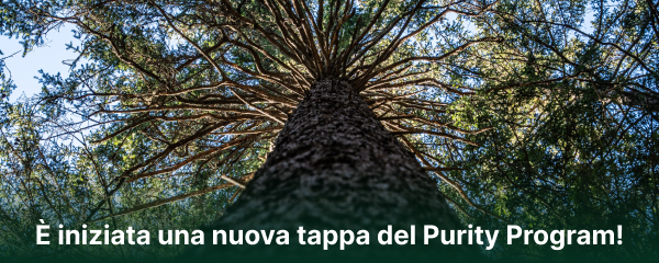 inquadratura dal basso di un grande albero con testo È iniziata una nuova tappa del Purity Program!