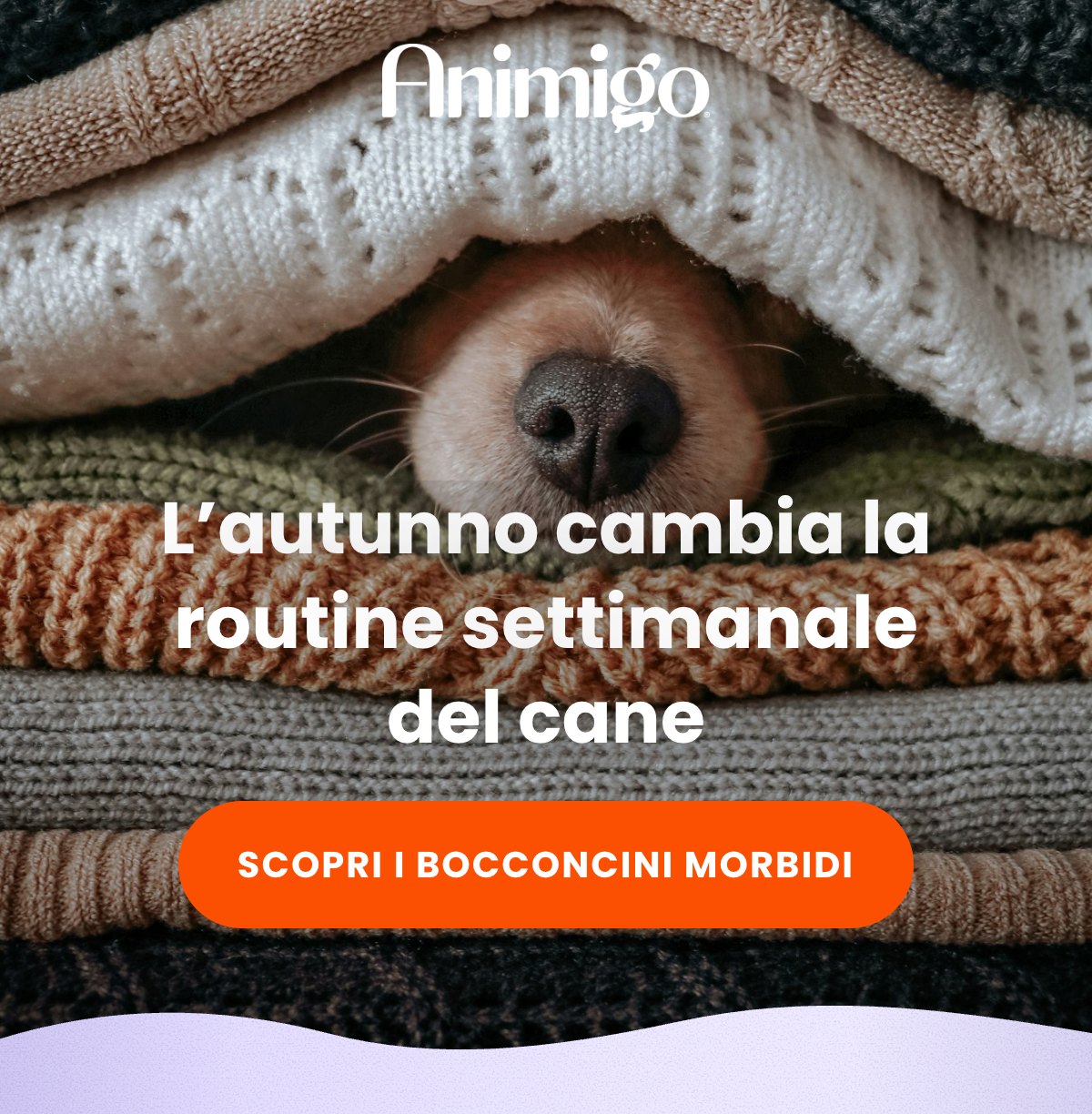 L’autunno cambia la routine settimanale del cane · SCOPRI I BOCCONCINI MORBIDI
