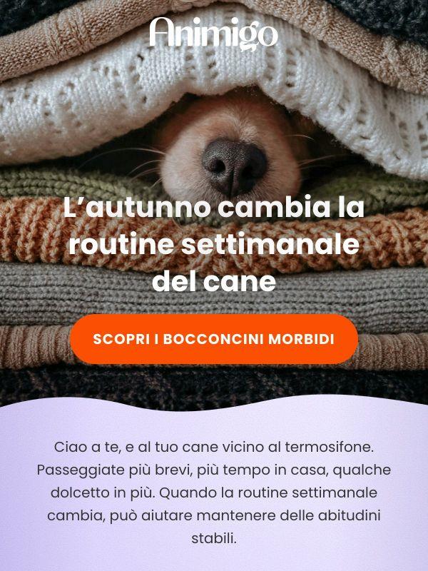 Multivitaminici per l’autunno