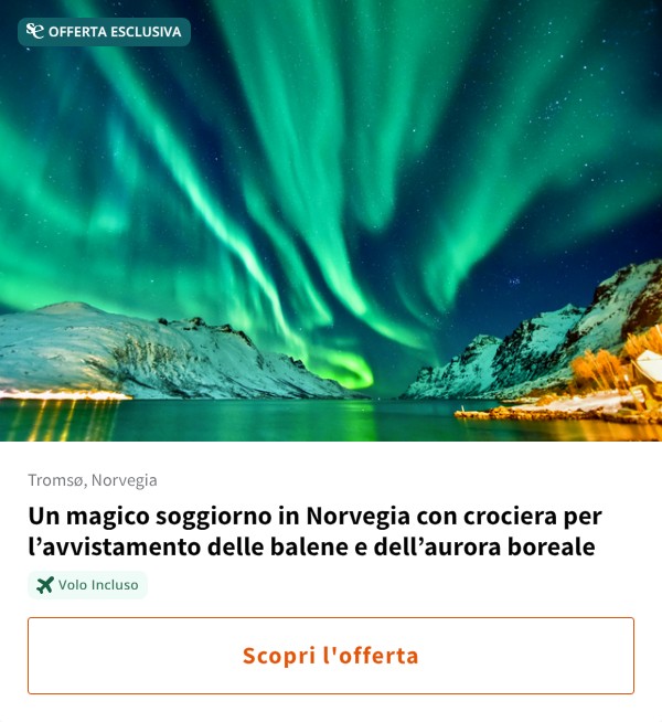 Un magico soggiorno in Norvegia con crociera per l%27avvistamento delle balene e dell%27aurora boreale