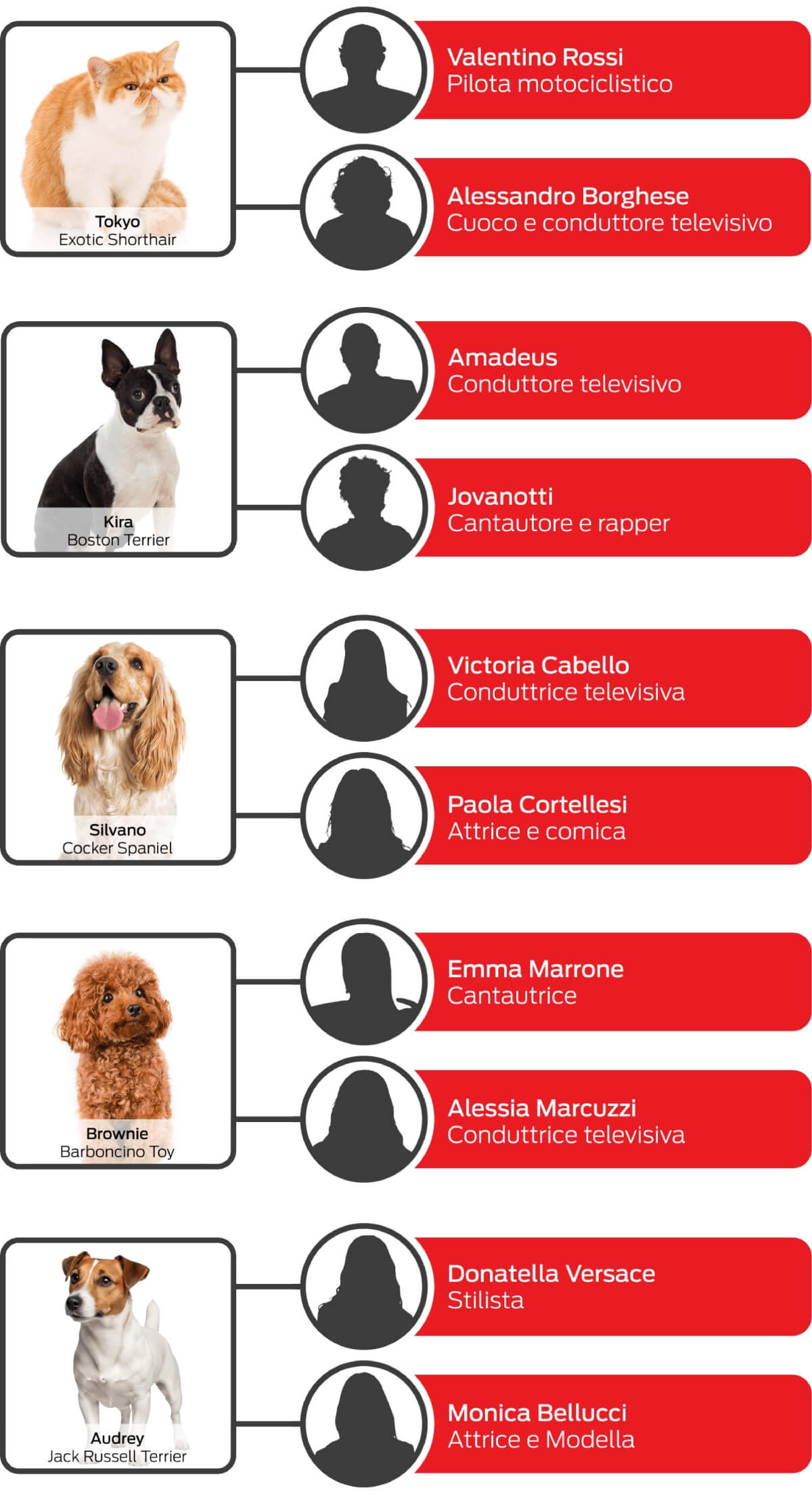 A chi appartengono Tokyo, Kira, Silvano, Brownie e Audrey? Scopri le soluzioni.