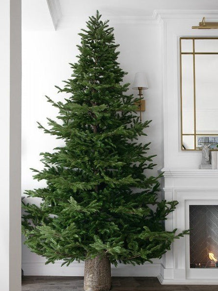 Albero Rockefeller by Salvatore Izzo in un ambiente domestico