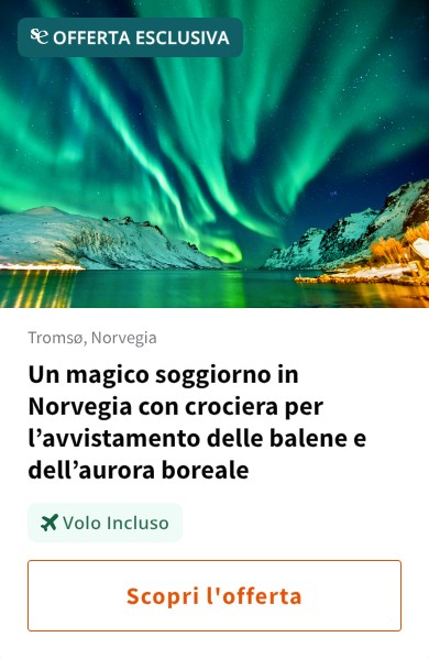 Un magico soggiorno in Norvegia con crociera per l%27avvistamento delle balene e dell%27aurora boreale