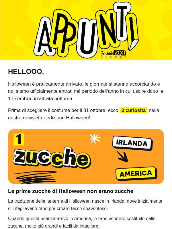 ScuolaZoo - Appunti #3
