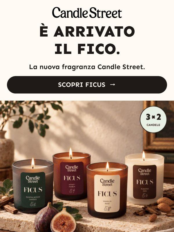 🌿 È arrivato il fico: una nuova fragranza