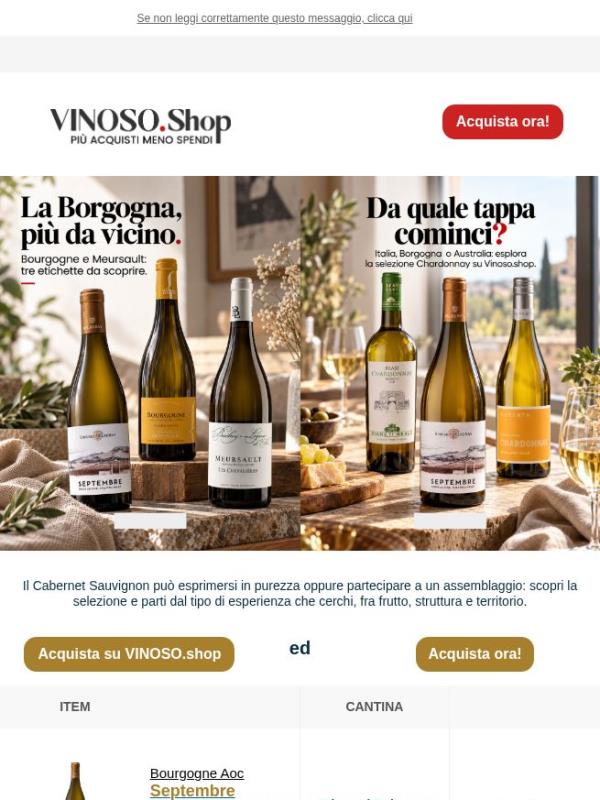 VINOSO | Chardonnay: Fra Italia, Borgogna e Australia, scegli il percorso che ti incuriosisce