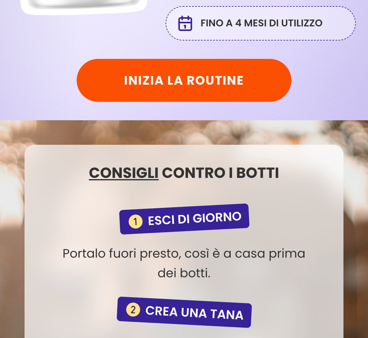FINO A 4 MESI DI UTILIZZO · INIZIA LA ROUTINE · CONSIGLI CONTRO I BOTTI · ESCI DI GIORNO · Portalo fuori presto, così è a casa prima dei botti. · CREA UNA TANA