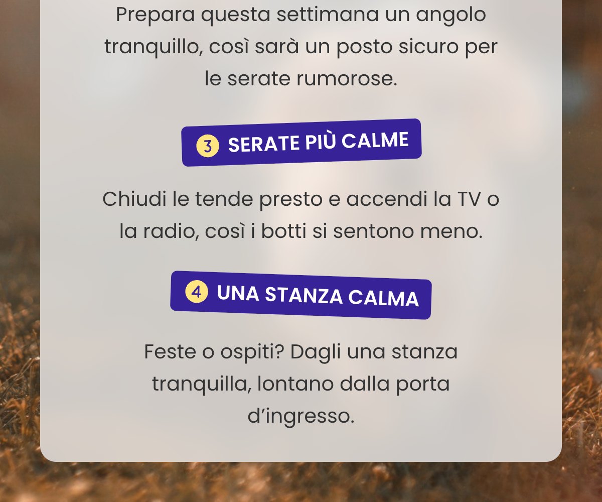 Prepara questa settimana un angolo tranquillo, così sarà un posto sicuro per le serate rumorose. · SERATE PIÙ CALME · Chiudi le tende presto e accendi la TV o la radio, così i botti si sentono meno. · UNA STANZA CALMA · Feste o ospiti? Dagli una stanza tranquilla, lontano dalla porta d’ingresso.