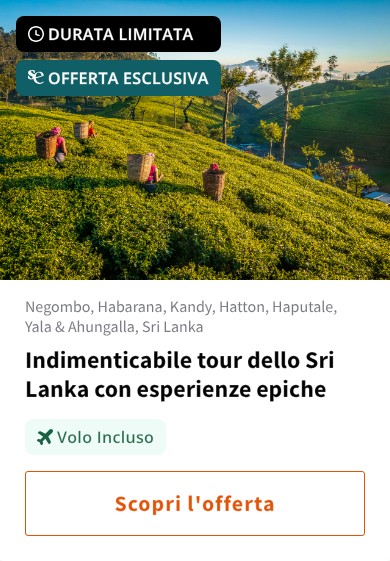 Indimenticabile tour dello Sri Lanka con esperienze epiche